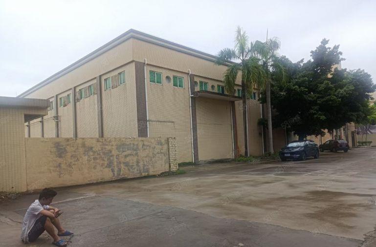 石排镇单一层厂房出租1500平方 8米高，带牛角。周边无居民