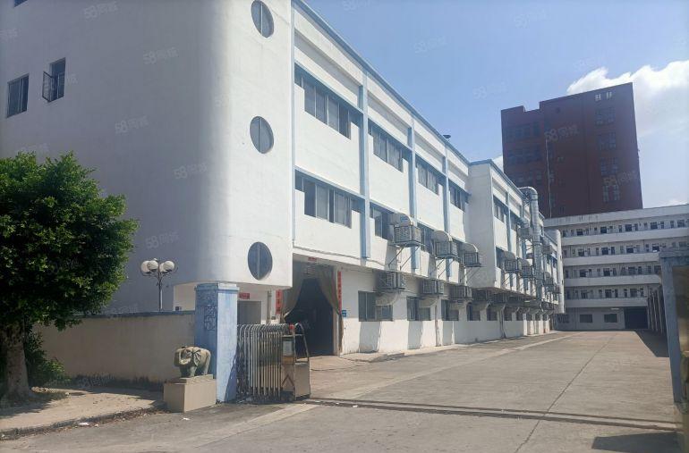 石排镇原房东5000方低价分租一二三楼