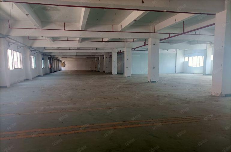 石排镇原房东5000方低价分租一二三楼