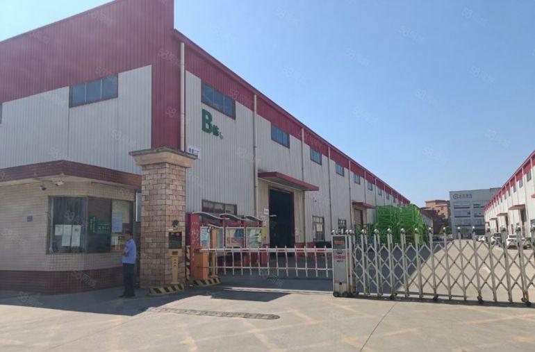 中堂新出单一层钢构厂房，滴水12米，牛角9米，大小车随意进出