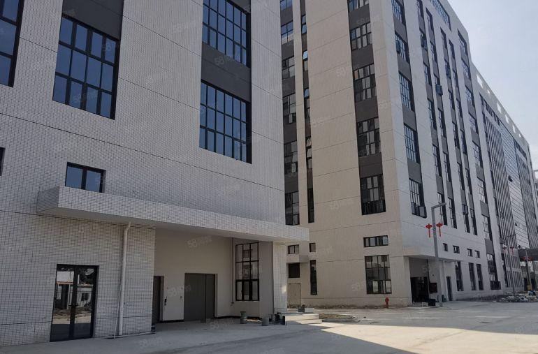 中堂镇8万平方全新高科技产业园低价出租（可分租280平方起）