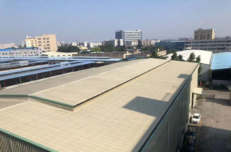 中堂镇新出原房东独门独院钢结构厂房一楼出租，园区形象美丽