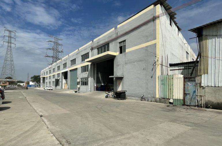 （45天免租期）中堂东向1200平方标准一楼降价出租！有蒸汽