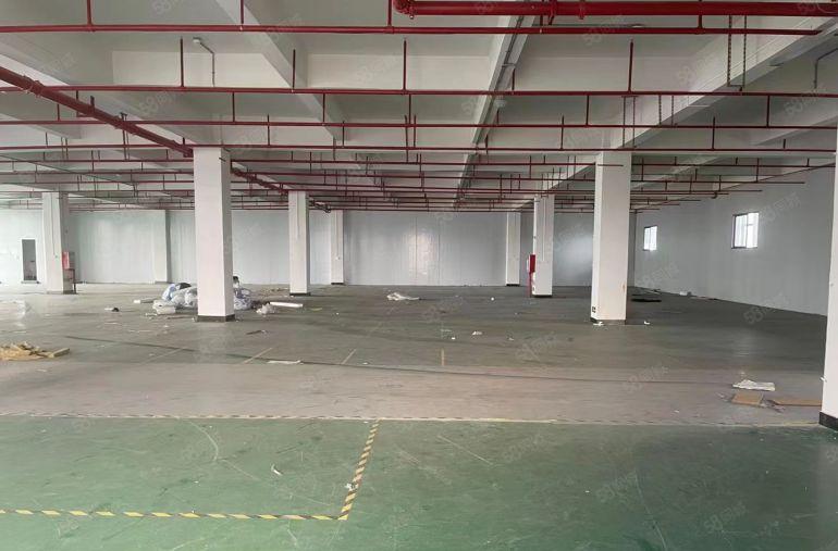 中堂鹤田新出标准楼房，房东低价甩租