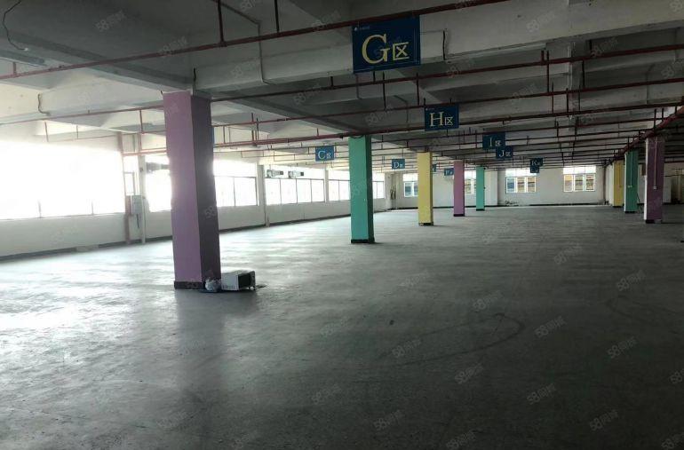 中堂镇新出原房东独门独院钢结构厂房一楼出租，园区形象美丽