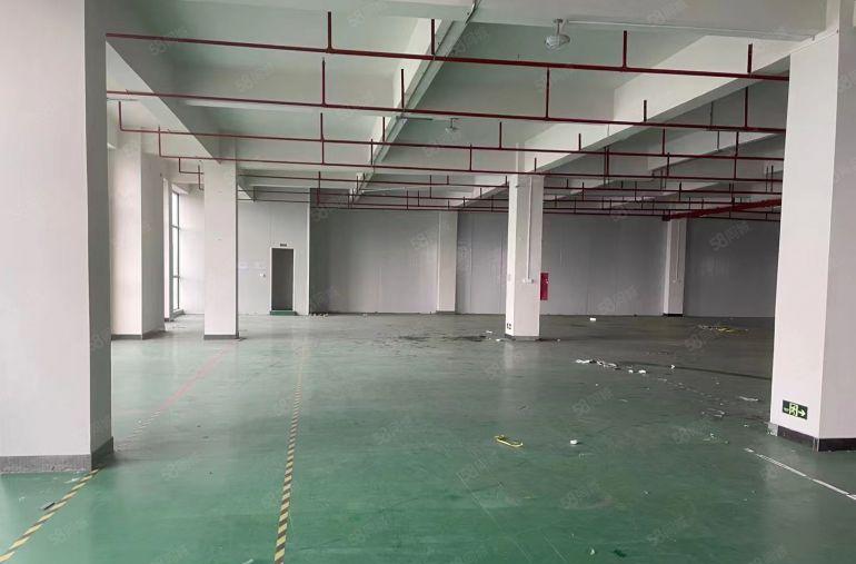 中堂鹤田新出标准楼房，房东低价甩租