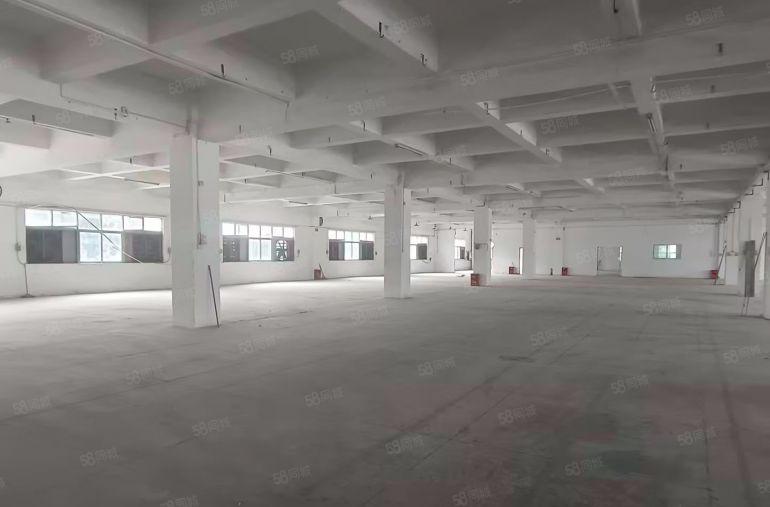 高埗楼上2700平带豪华装修厂房出租，大空地即租即用