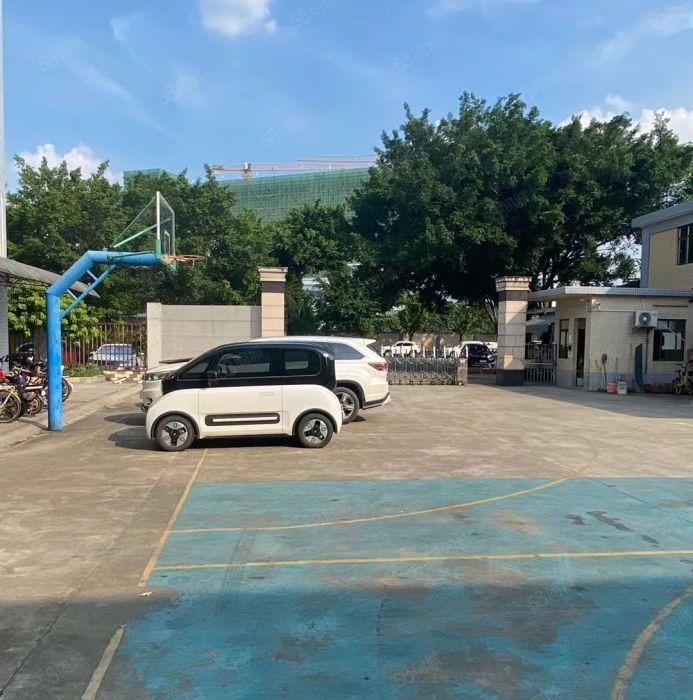 高埗8700平上市公司形象厂房出租