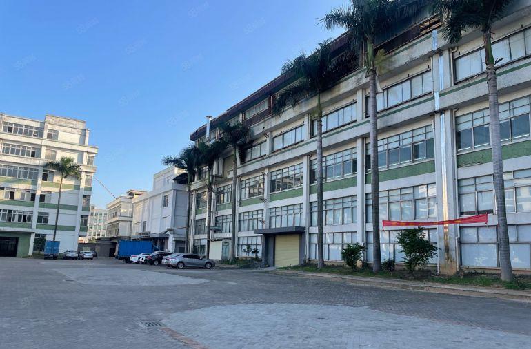 高埗镇 低涌产业园厂房低价出租1000平方空地大形象好可分租