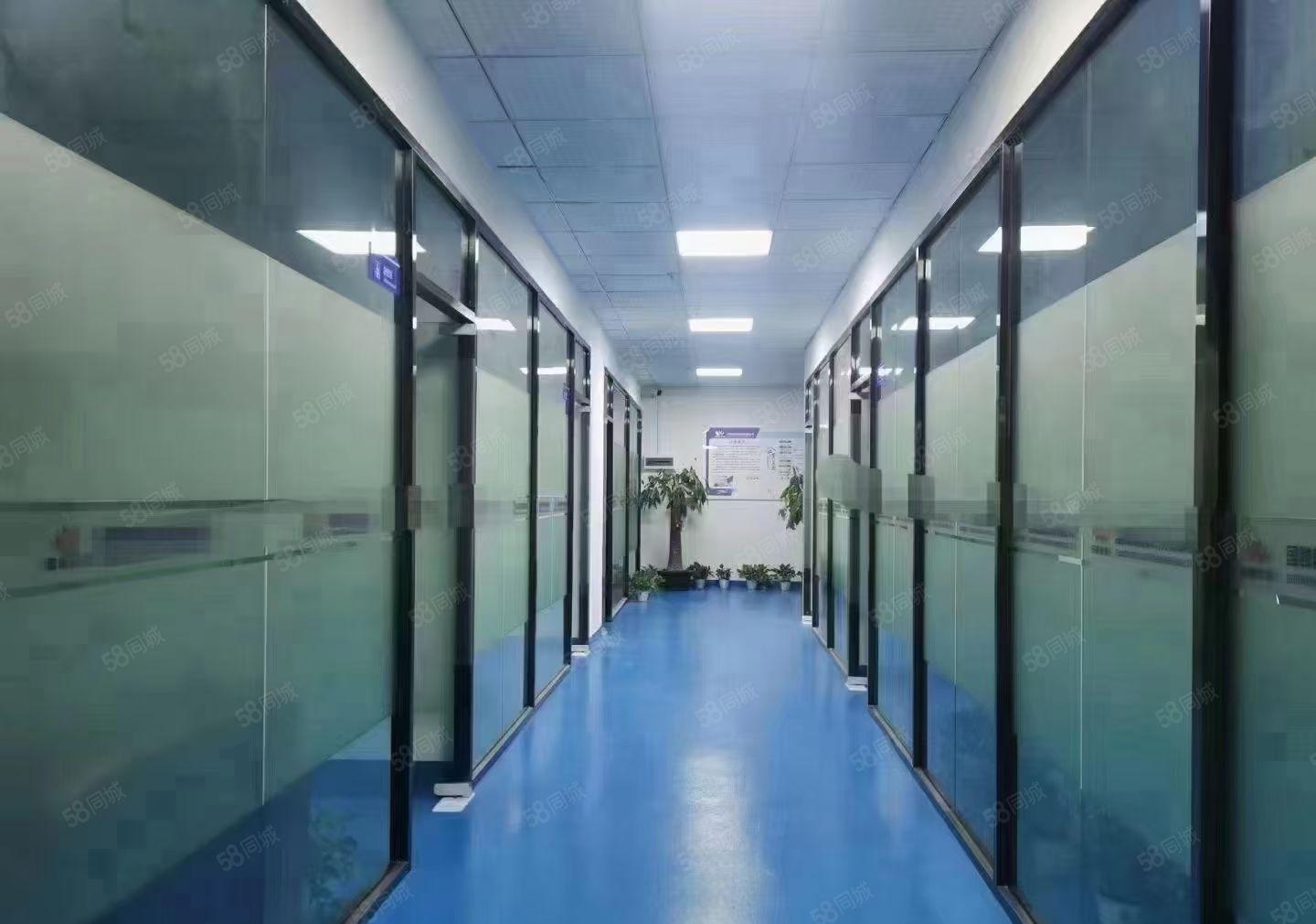 石岩水田工业区500平1000平2000平精装修厂房仓库出租