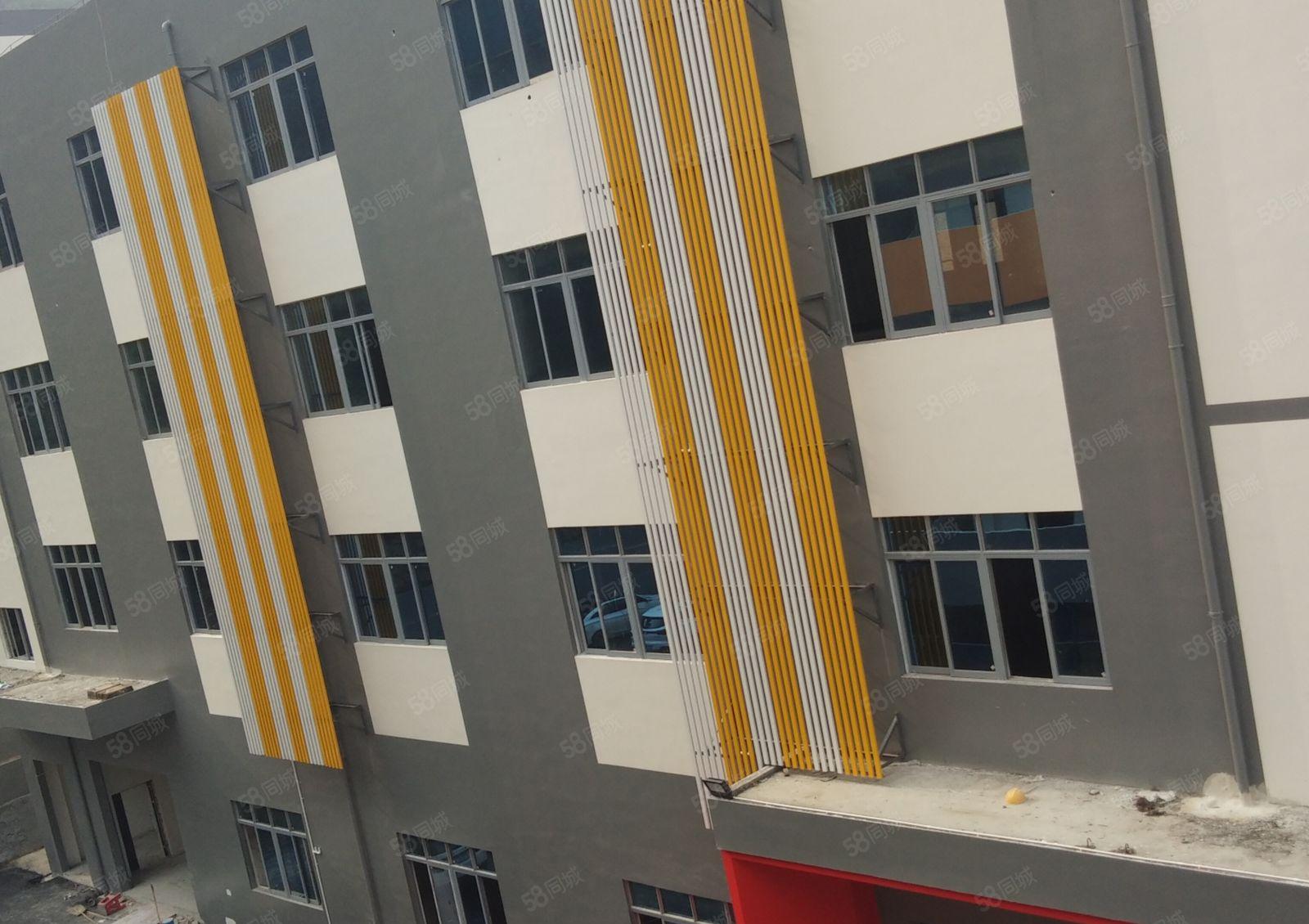 西乡固戌大门村委厂房一二楼各815平，可单租一层