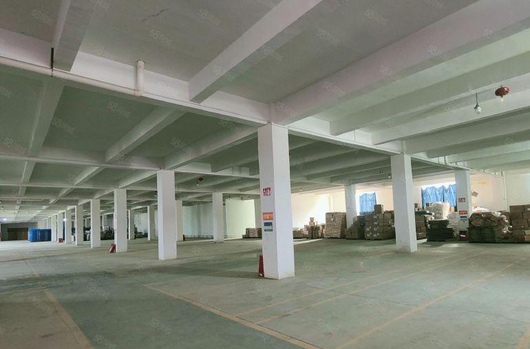 25元每平红本面积整层5000平可分租大型货车出入无忧