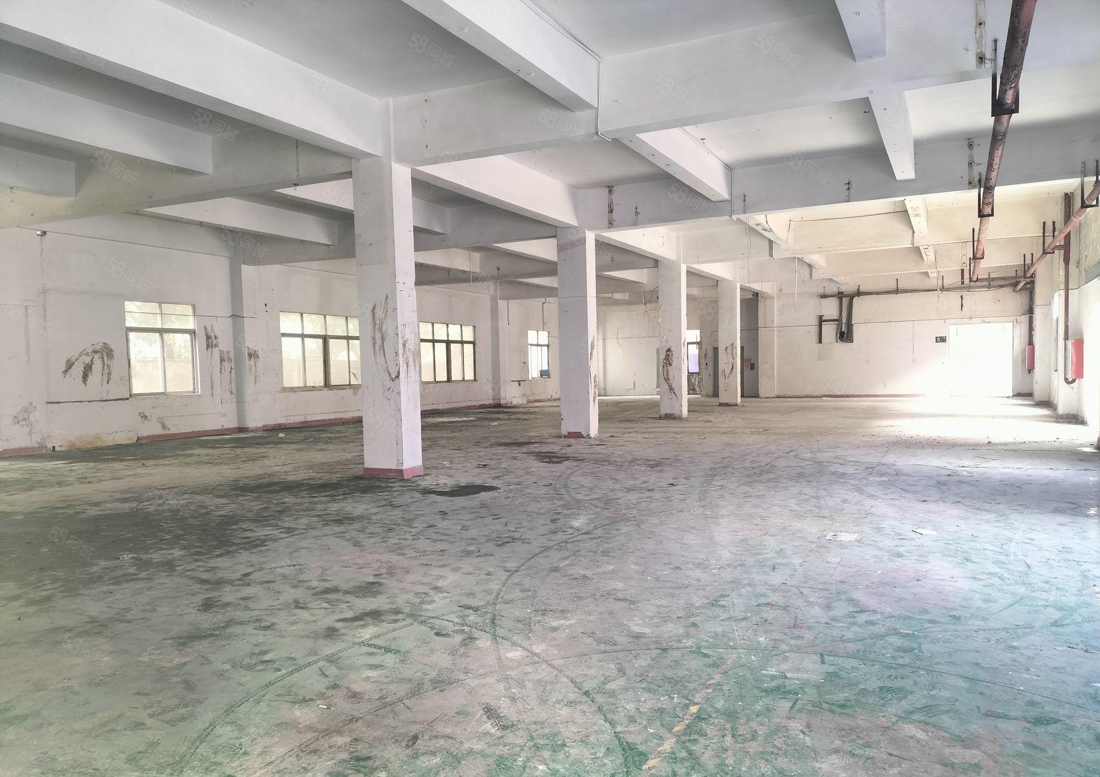 沙井沙头京基百纳附近独栋厂房13层共3300平方出租