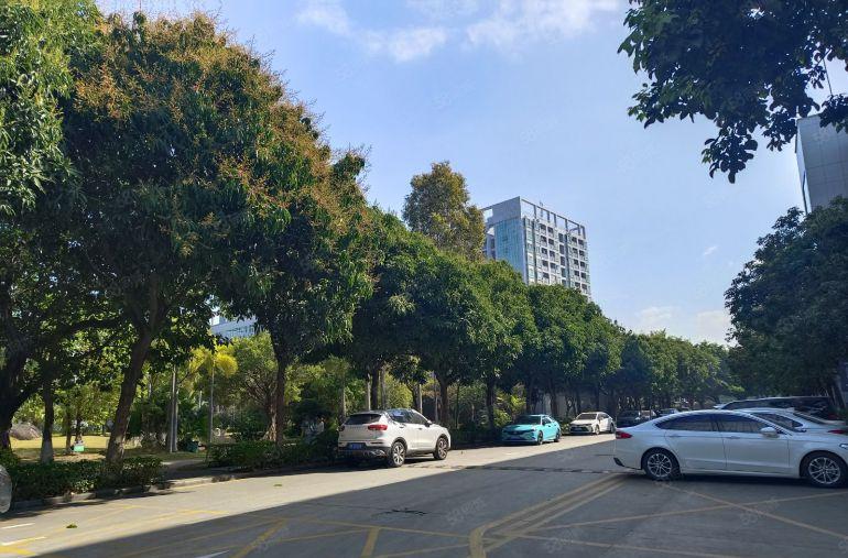 石岩独院红本厂房厂房招租22500平方可分租200平方起租