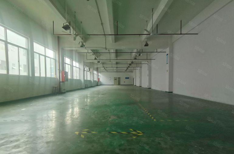 宝安石岩1000平精装修一楼上物流仓库生产办公电商出租分租