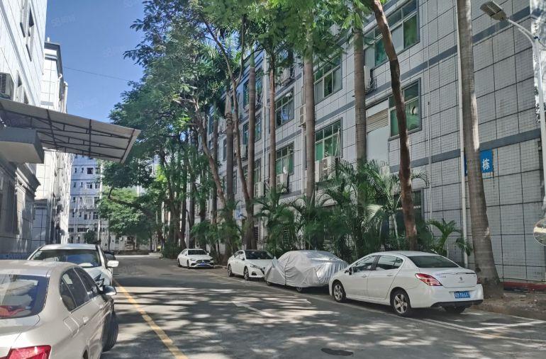 福永凤凰一楼1380平米带装修厂房出租