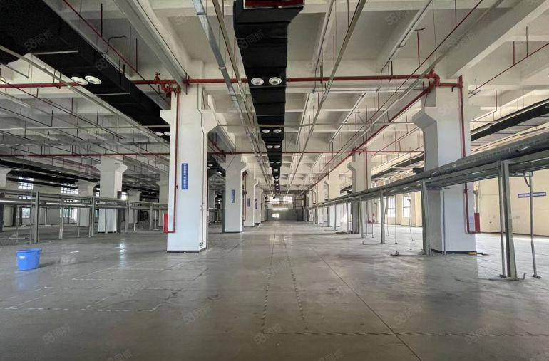 10年合同宝安石岩原房东52500平红本厂房出租独门独院