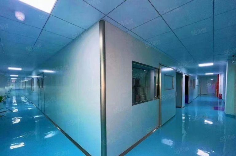 24元福永桥头800平无尘车间整层精装修厂房出租仓库出租分租