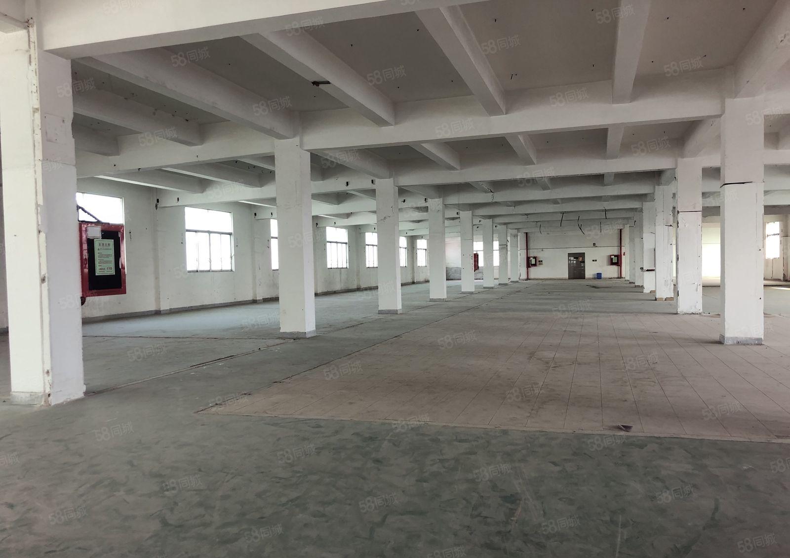 福永高速口6000平厂房仓库出租分租带装修独院厂房