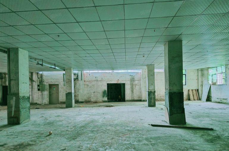 1楼实惠实用20元每平150平到1000平大小面积均可选择