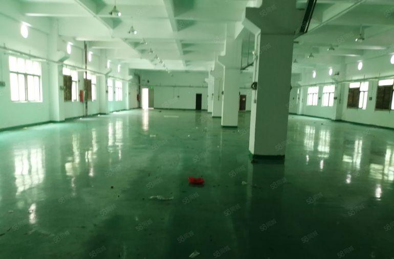 沙井街道大王山附近原房东红本独院厂房693平方出租