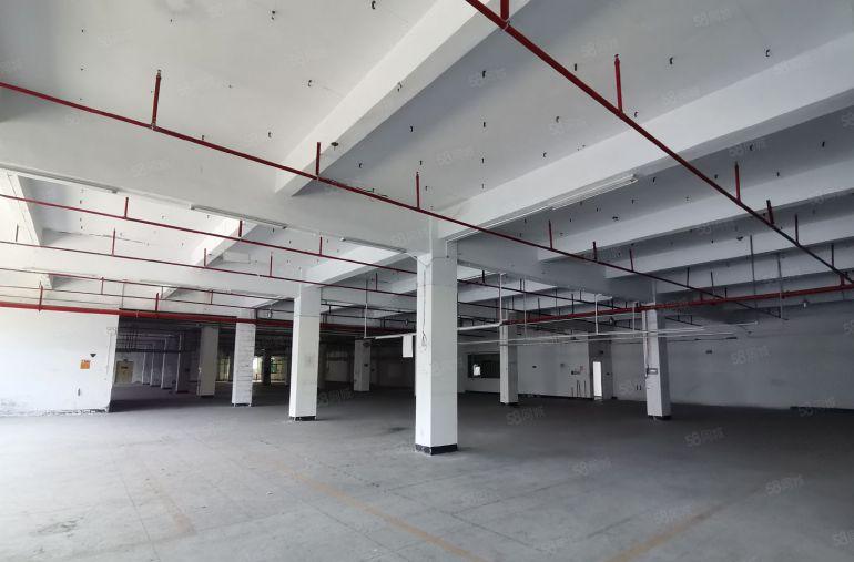 福永和平会展中心8000平独门独院原房东红本工业厂房低价出租