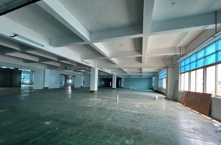 石岩塘头工业区厂房出租500平，可做电子加工仓储行业不限