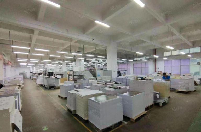 西乡新出500至1200平原房东厂房仓库出租 使用率高价格低