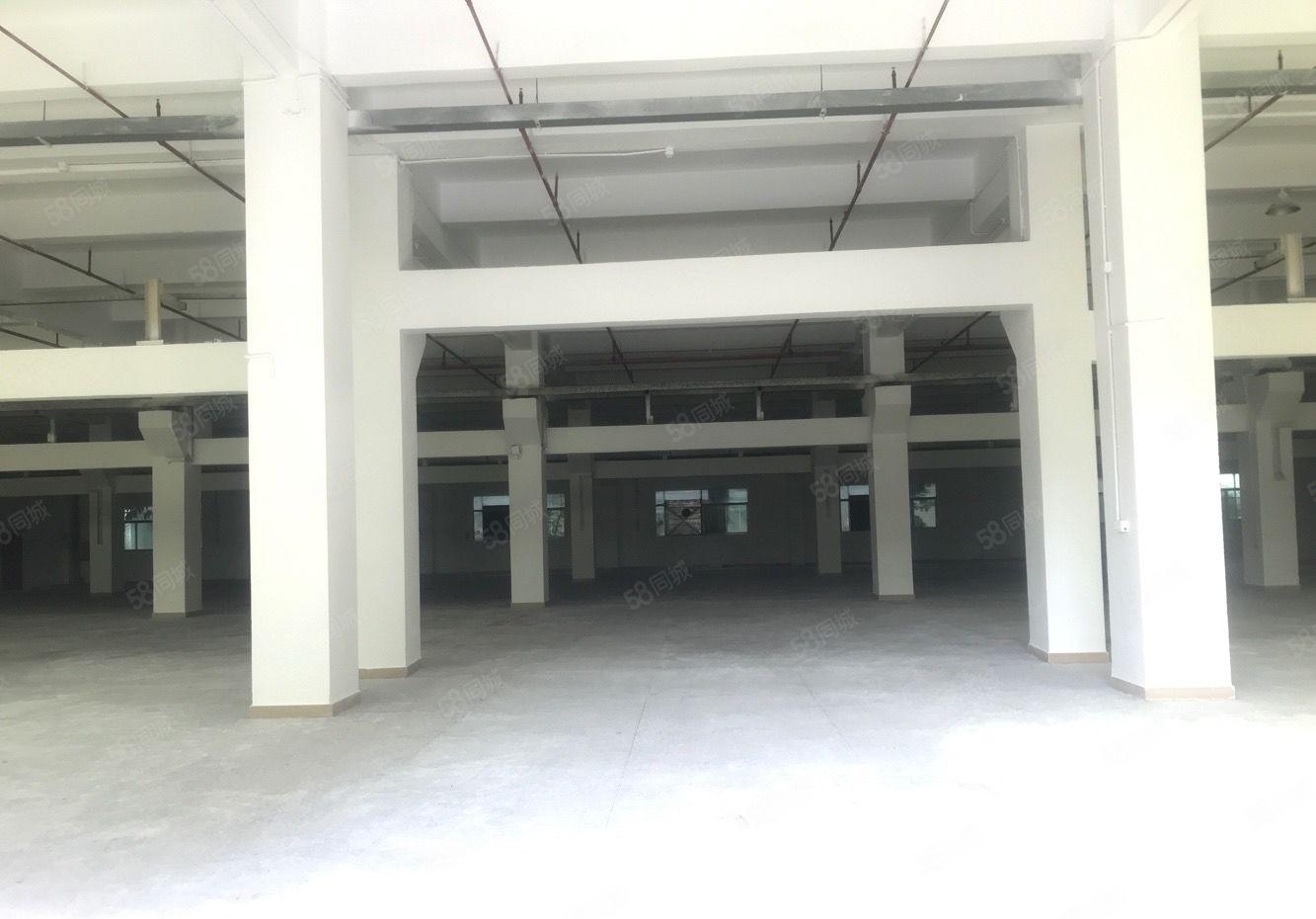 石岩高速口独门独院工业园厂房出租 超大空地 适合电商物流仓库