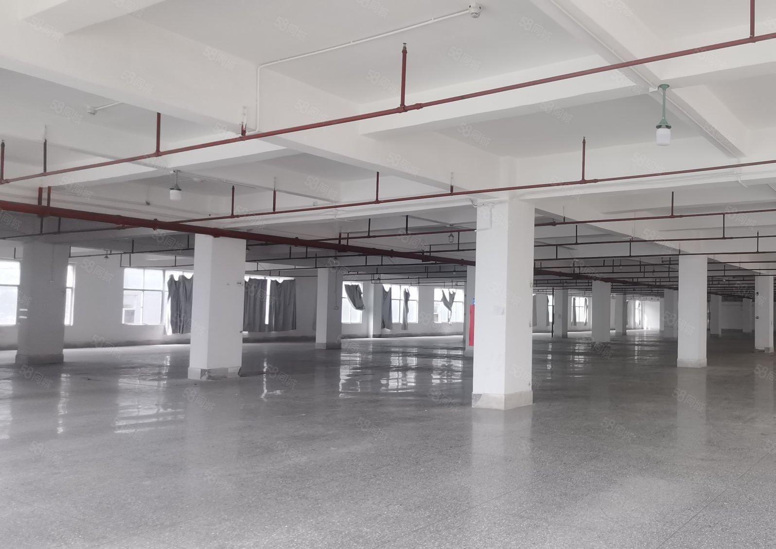 石岩爱群路旁新出楼上1705平原房东厂房出租