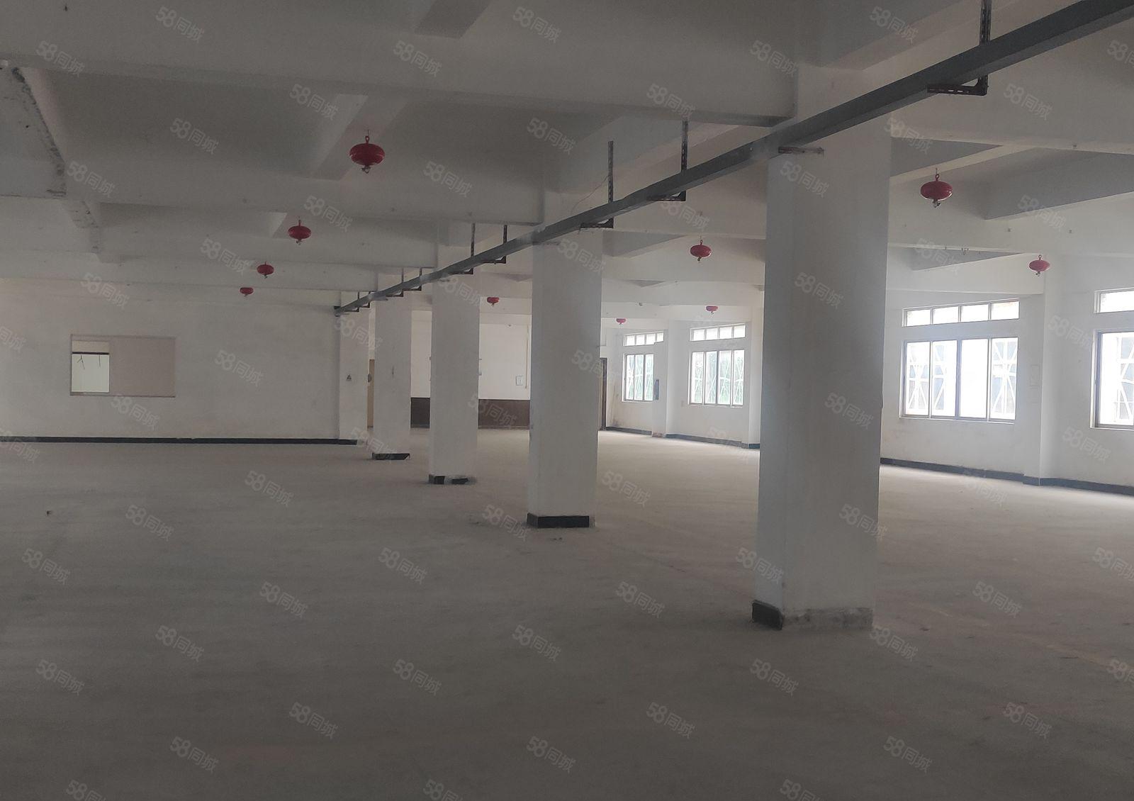 福永凤凰楼上1000平米精装修厂房出租可分租无转让费拎包入住