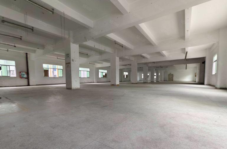 西乡固戍二路原房东整层1500平方厂房出租可以分租