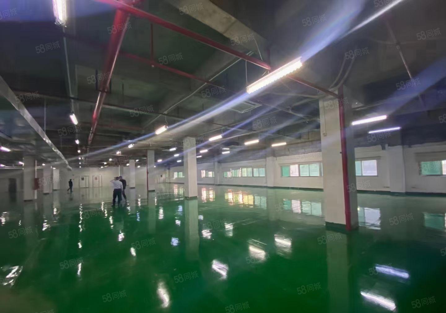 石岩应人石工业区楼上1500平带装修精装办公室整层可分租仓库