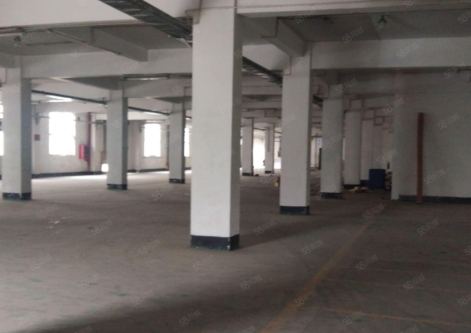 西乡黄田107国道旁小独院二层5000平