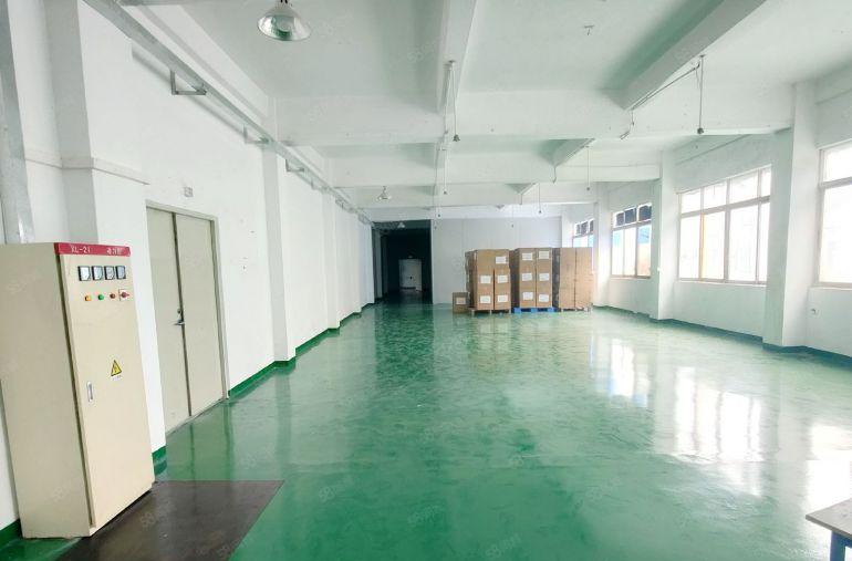 沙井后亭248平450平660平带装修