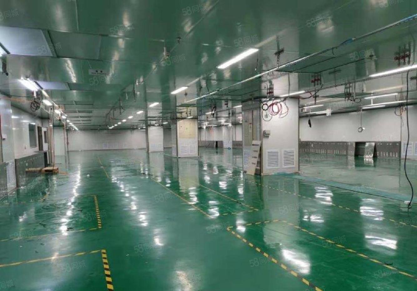 福永地铁口2000平带装修厂房出租免费无尘车间让大小分租独院