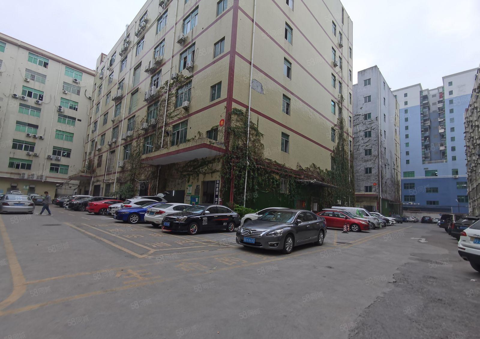 宝安固戍一楼厂房1300平米 带3个办公室 租45元