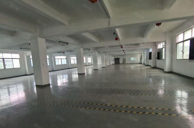 松岗107边国资委厂房出租实际面积重工业200到4000平米