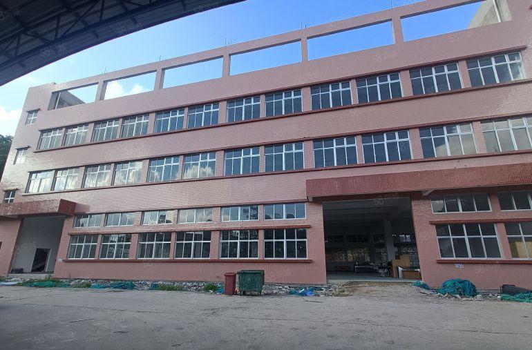 松岗国道边大田洋独门独院厂房5000平方出租500起分租