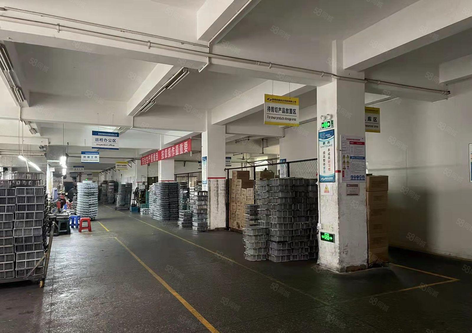 松岗中心区大型工业园独栋6000平厂房仓库出租，无公摊可分租