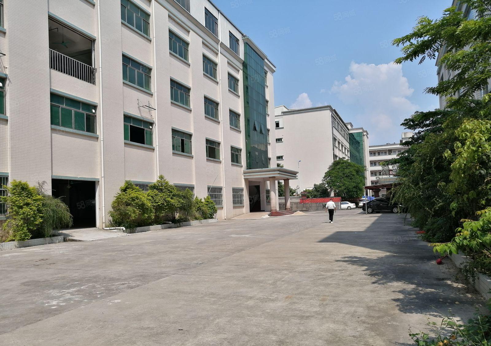 石岩新出8000平独院红本可分3百5百1千平厂房仓库出租合租