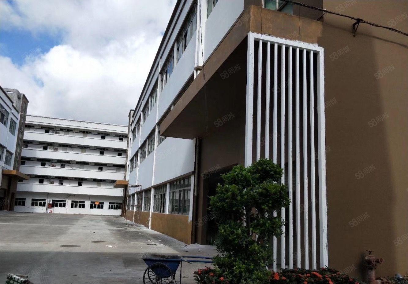 松岗大田洋新出原房东独门独院5000平方厂房招租