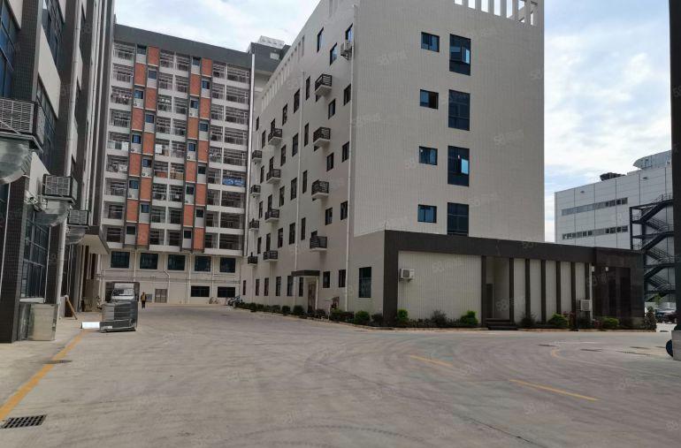 100平起租石岩料坑工业区厂房出租20元起一楼厂房仓库招租合