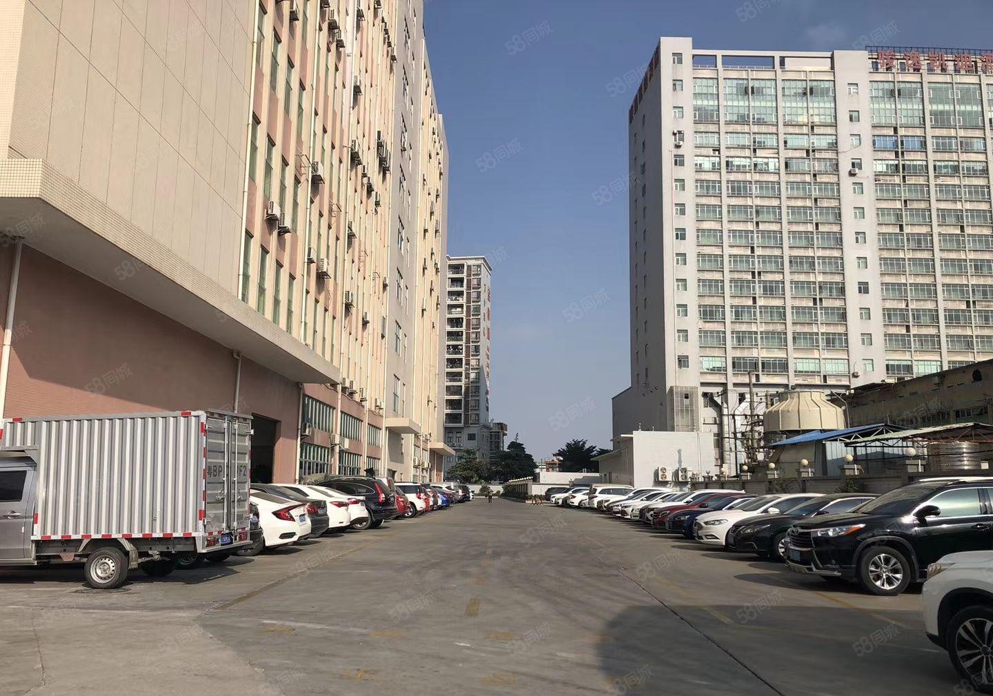 福永和平楼上1000带装修不要转让费原房东直租