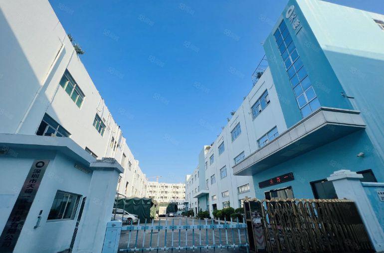 石岩独门独院村委红本厂房出租8000平方，1000平方起分租