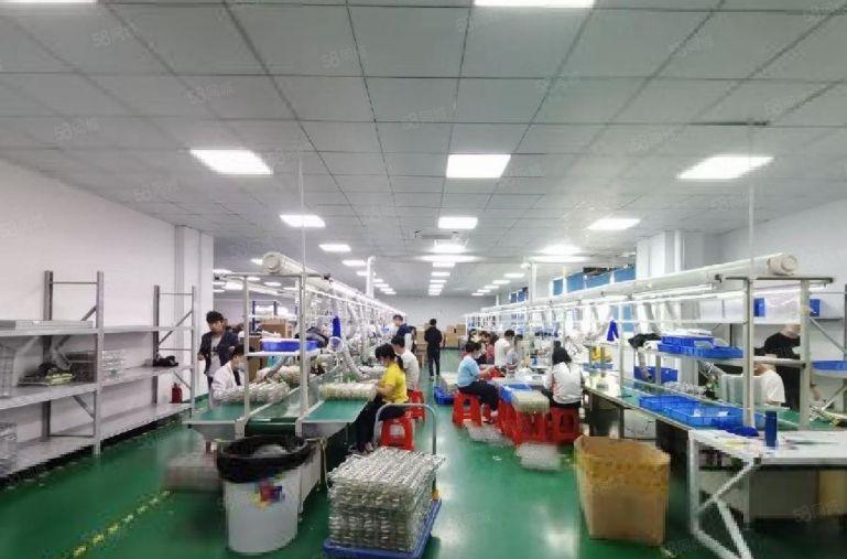 鹤洲原房东2楼2000平红本精装办公室仓库厂房出租大小分租