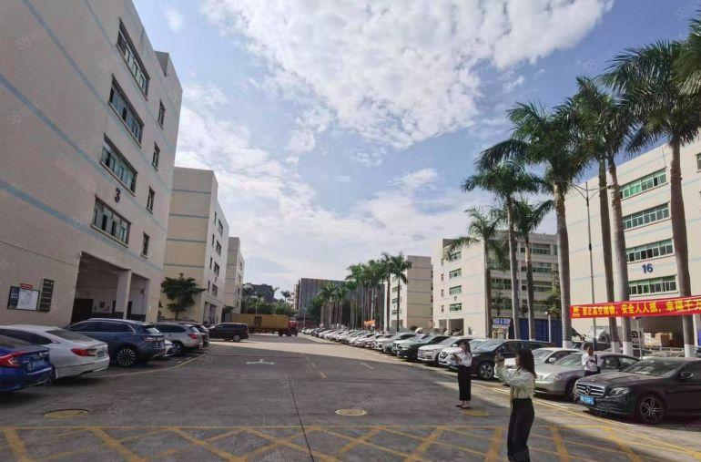 20元松岗燕川原房东1000平厂房出租仓库物流200平起可分