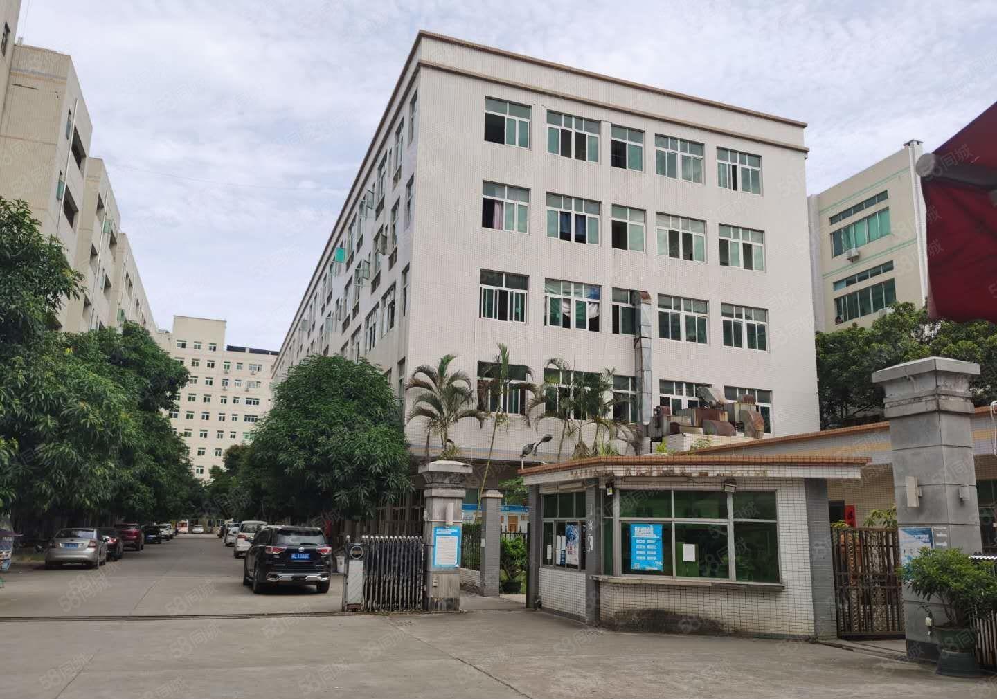 宝安石岩塘头独门独院楼上新出2000平精装修一楼仓库厂房招租