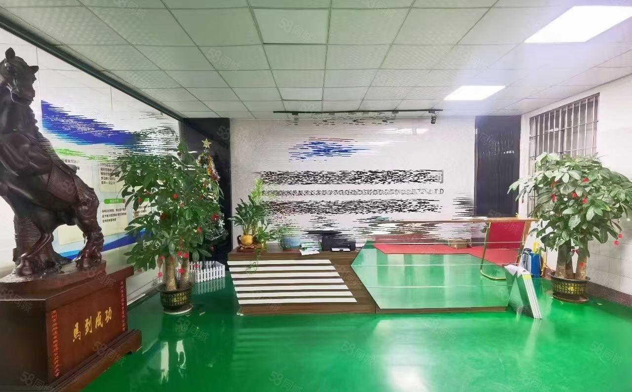 福永107国道原房东独院8000平米厂房出租分租仓库电商办公