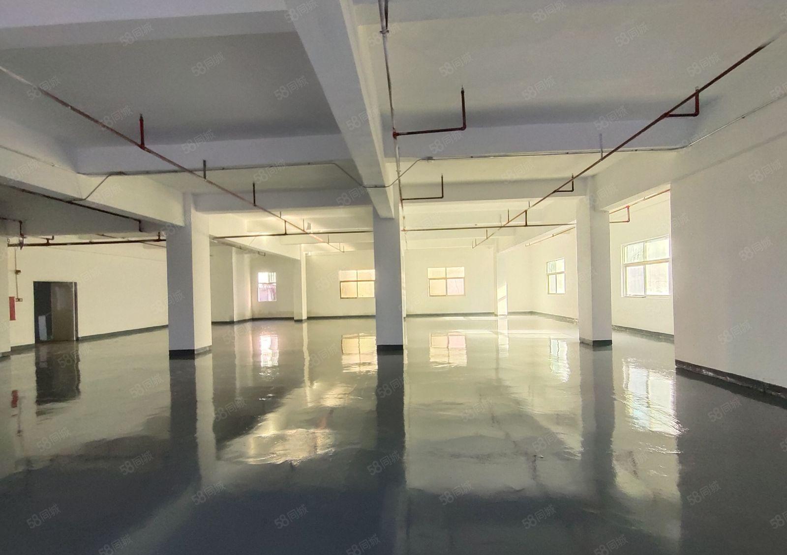 西乡，固成，宝安大道边，原房东全新装修550平整层办公，厂房